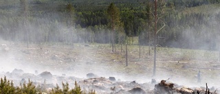 Skärper inte eldningsförbudet