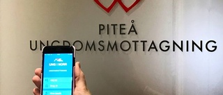 Piteås app modell för resten av länet