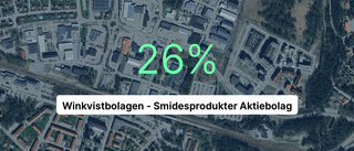 Få i branschen var bättre än Winkvistbolagen i fjol