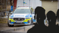 17 års fängelse efter yxmord i Katrineholm