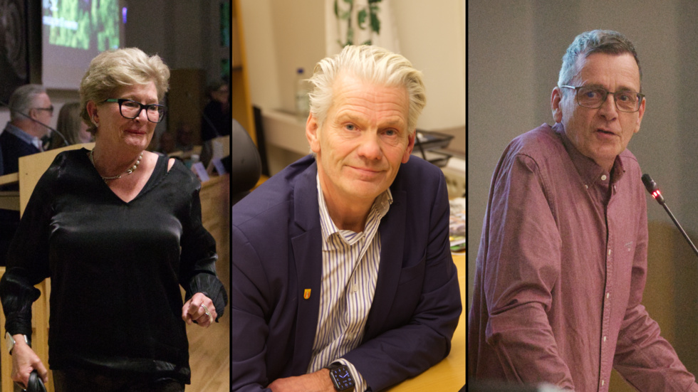 Dessie Forsén (oberoende), Peter Karlsson (M) och Patrik Stenlund (KD) ser inga större problem med att styra Vadstena i minoritet.