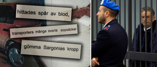 Sargonia-mördarens våldsamma liv: Våldtäkt och misshandel