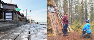 Barmark i december hör inte hemma i ett arktiskt klimat