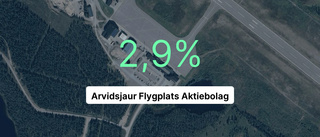 Pilarna pekar nedåt i rapporten från Arvidsjaur Flygplats AB