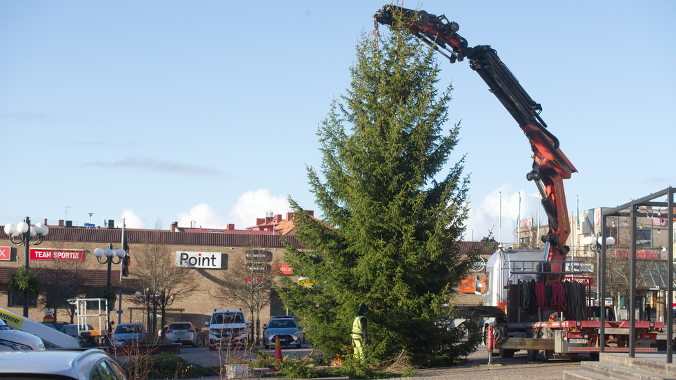 Årets julgran på stora torget i Motala hämtades i Västanvik för att sprida julstämning i Motala. 