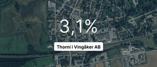 Thorni i Vingåker AB visar fortsatt tillväxt