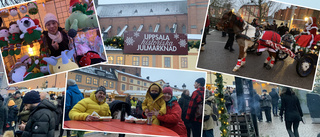 Fastnade du på bild i vimlet under julmarknaden?