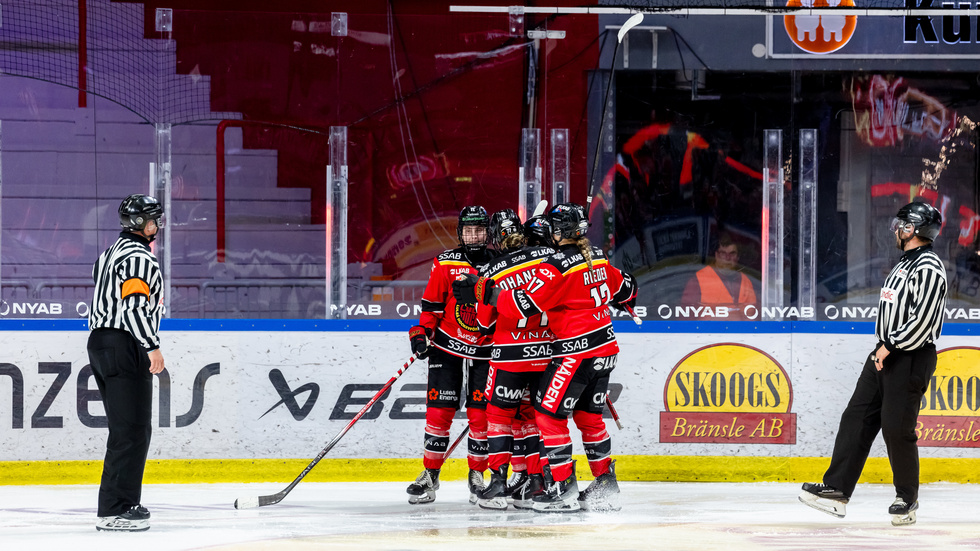 Luleå/MSSK vann mot Linköping.