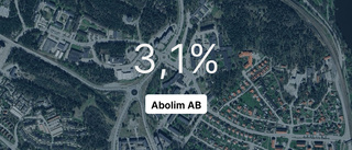 Här är siffrorna för Abolim AB senaste året