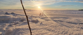 Läsarbilden: En gnutta sol    