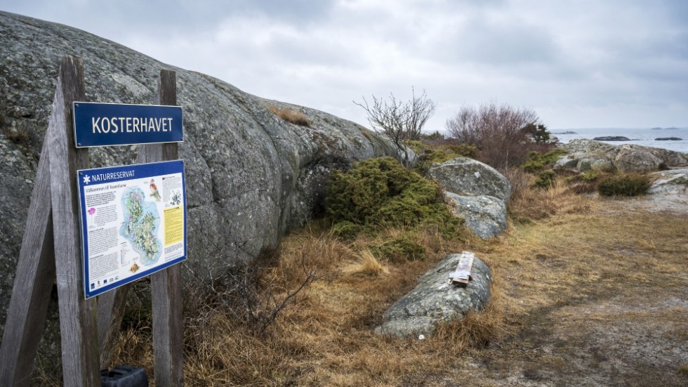 Det blir mindre pengar till naturreservat kommande år, enligt regeringens budget. Arkivbild.