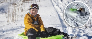 Här kraschar Tage, 8, med pulkan: "Det gick bra!"