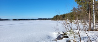 Dagens läsarbild: Vårt paradis