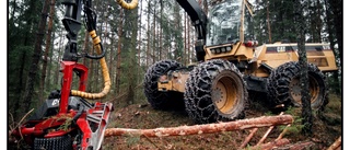 Vi behöver både produktion och naturhänsyn i skogen