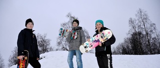 "Här politiker kan ni bygga en skatepark... "