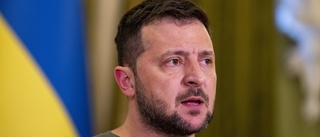 Zelenskyj: Hjälp till Turkiet