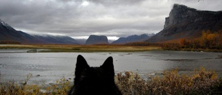 Lugnet och vidderna i fjällen lockar