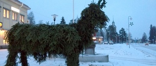 Trots ryktena: Bocken står kvar