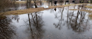 Regn, plusgrader och smält snö ger högt vatten