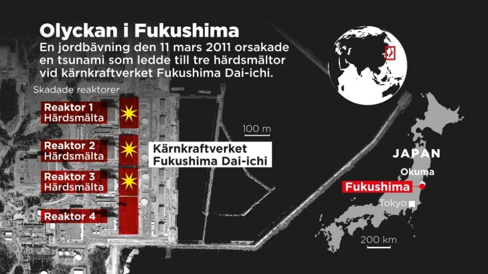En jordbävning den 11 mars 2011 orsakade en tsunami som ledde till tre härdsmältor vid kärnkraftverket.