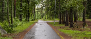 "En liten flicka hittas livlös i skogen. Varför?"