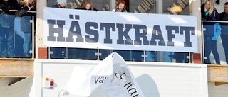 Jagar hyresgäst till hästklinkiken