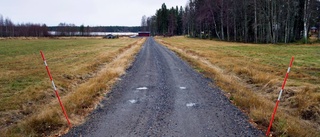 Miljardär tvingas plantera björkallé