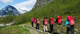 Många vandrar i fjällen i sommar