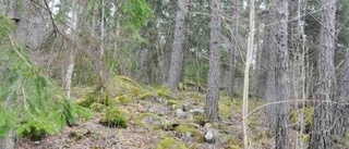 Naturreservat bildas vid sjön Vällen