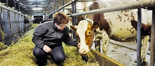 Satsar på klimatvänligt jordbruk