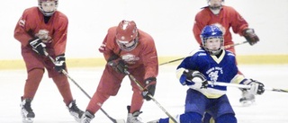 UNT-cupen lockar många hockeylag