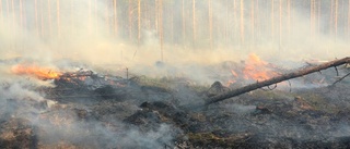 Skogsbrand på berget