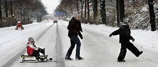 Snön gladde många