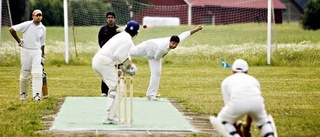 En dag i cricketens värld