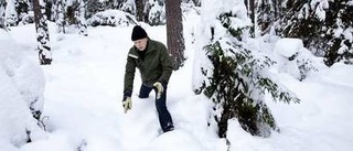 Lofamilj i Nåsten fredas inte vid jakten