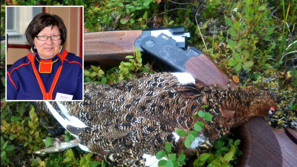 Ingrid Inga tycker att fritidsjägarna blåser upp konflikten. "Deras fritidsintresse ska gå före en basnäring och grunden för hela den samiska kulturen. För mig är det nästan en omöjlighet", säger hon.