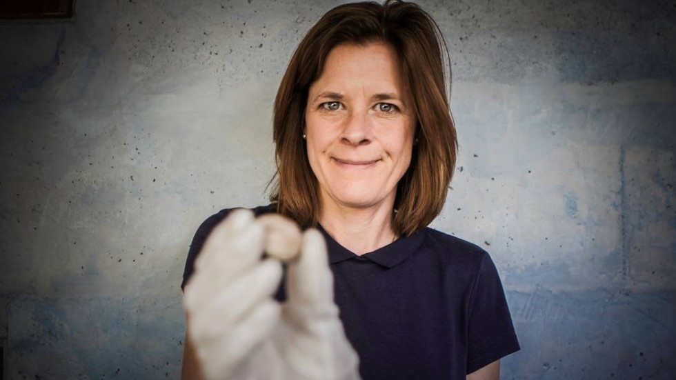 Kristina Ekero Eriksson är arkeolog och vetenskapsjournalist. Tidigare har hon skrivit ”Vikingaliv”, tillsammans med Dick Harrison, och ”Årstafruns hemliga dagböcker”.