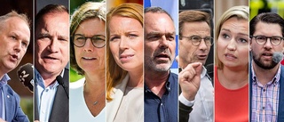 Uppsalaexperten betygsätter partiledarna