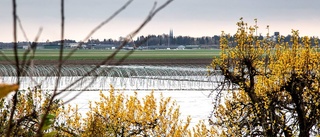 Naturskyddsföreningen granskar kommunen