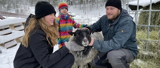 Familjens råd till de som drömmer om ett liv på landet: "Bara kör!"