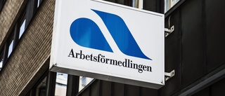 Arbetsförmedlingen vill in i kommunhuset