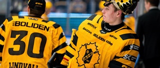 NHL:s taxi squads tar form – AIK:s succémålvakt med i backup-truppen