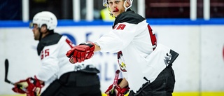 Här är Vimmerby Hockeys tidiga julklapp • Tar in SHL-meriterad 19-årig forward 