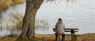 Nya regeringen borde tillsätta en tillsammansminister