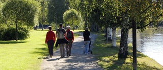 Parkbänkar vid strandpromenaden - så sade politikerna