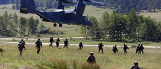 Sverige behöver inte Nato för fred