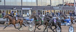 Premier Kronos vann V86-lopp efter ett rafflande upplopp