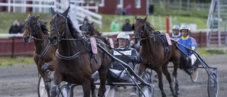 Klassblandning i Midsommarkransen