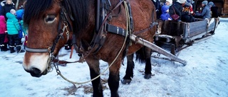 Snön lyser vit och vi dricker julmust