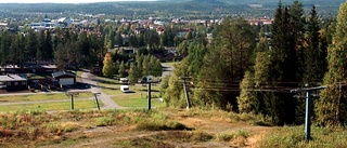 Blev överkörd av sin egen bil